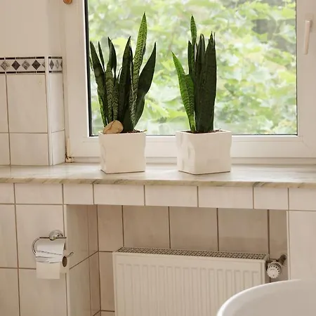 Haus Muehlenbrock 3*